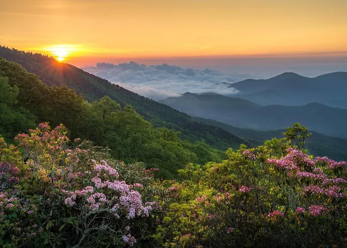 Asheville Black Mountain Escape