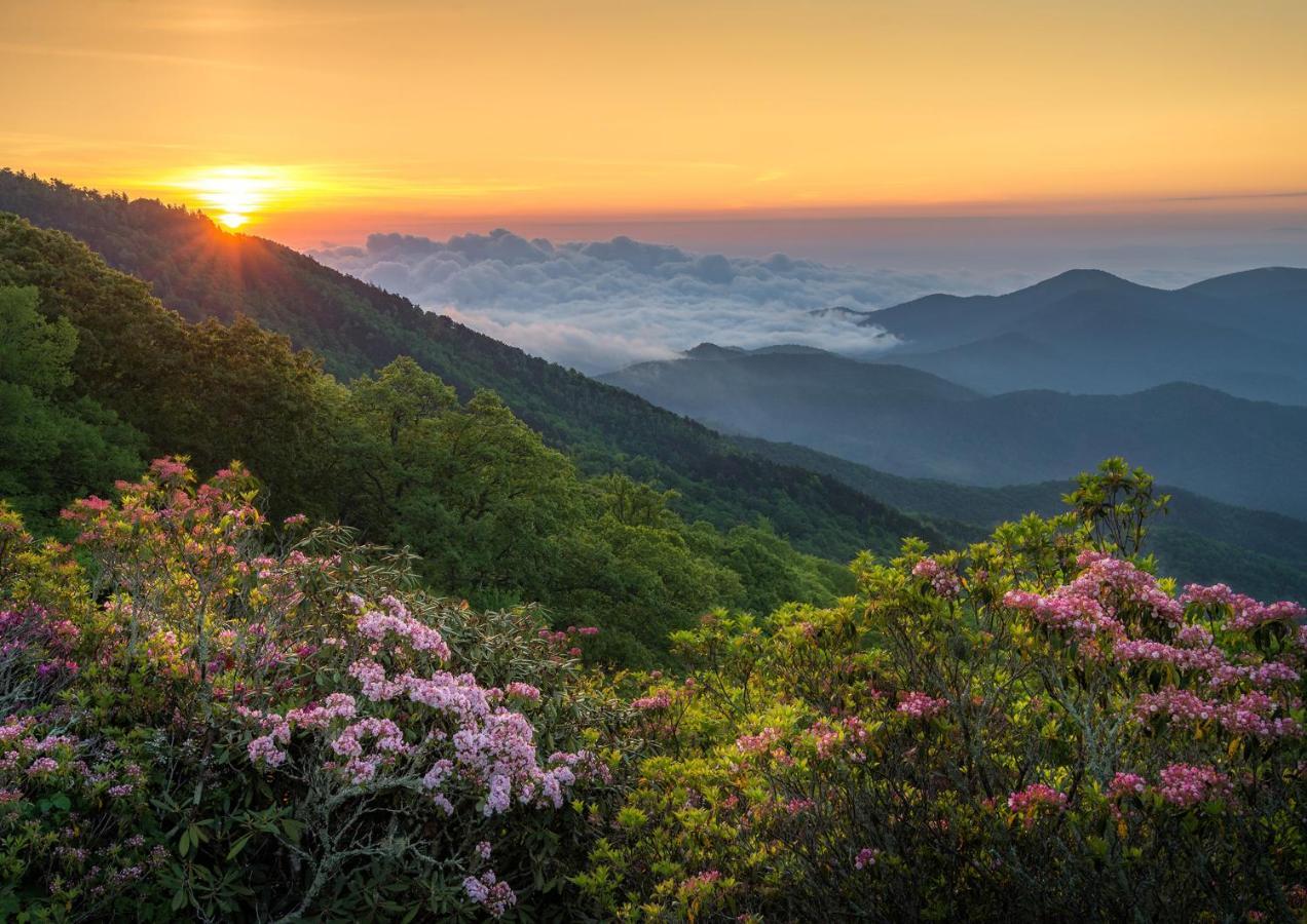 Asheville Escape Casa vacanze